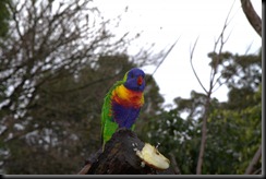 2010_08_08_IMG_0232-1