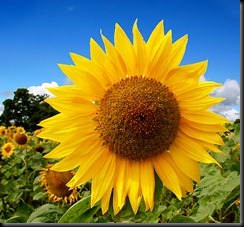 1084445061_26761068c5