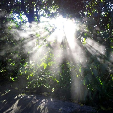 IMG_20120707_085010.jpg image