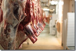 2-Slaughterhouse_cattle_bodies